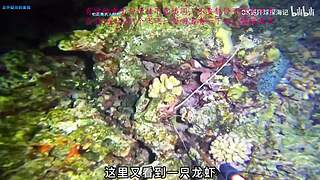 【有车位】一个厉害的甜妹儿OvO