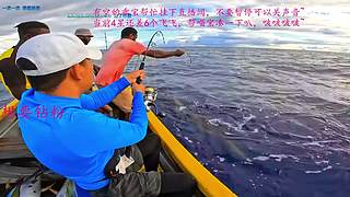 【有车位】赛季末了上分吗哥哥，我上分贼6