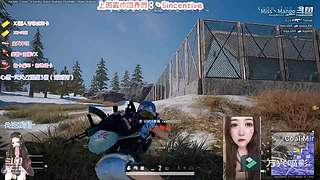 日常摆烂 随机播~