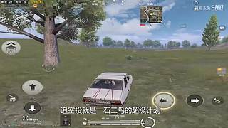 月殿玉兔直播间