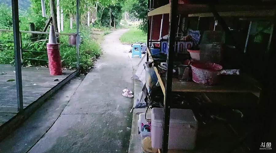 北极昕的直播间