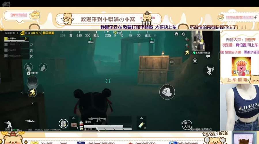 东北反差甜妹