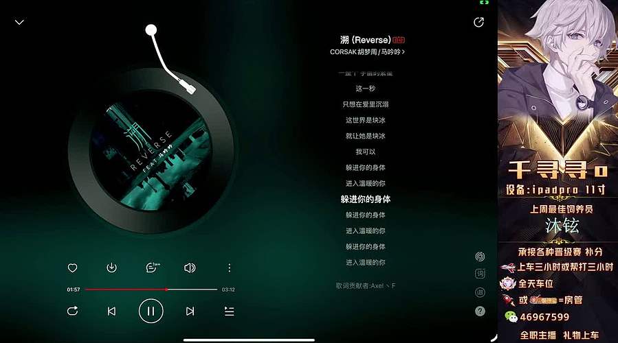 【双区帮打】带粉上分有位