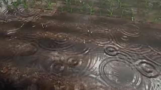 失眠症福音~~~~~~~~~~~