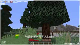 阿罗烧砖窖