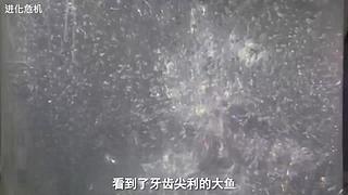进来看电影咯 10102412