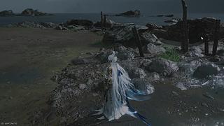 新的开始新的人生 11643816