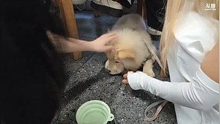 重回仙界之金手套