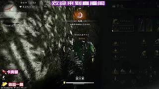 佛系玩家在线，不卷段位