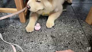 青允o的直播间