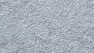 [大自然纪录片]轮播