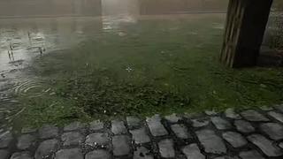 失眠症福音~~~~~~~~~~~