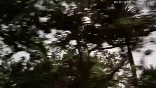 谦卑，学习，升华