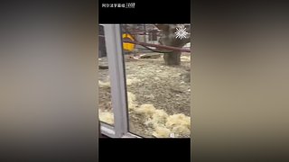 阿尔法小分队的最新视频
