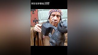 阿尔法小分队的最新视频