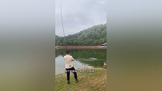 亮gnailux的直播间