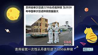 观视频工作室的直播间