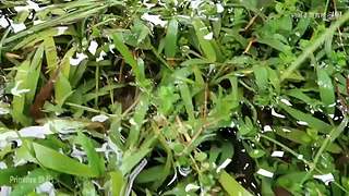 荒野求生，带大家体验不一样的生活