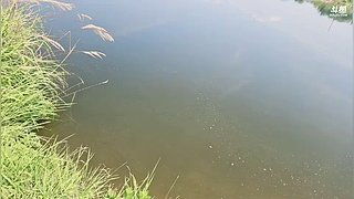 收甲鱼钩～～～