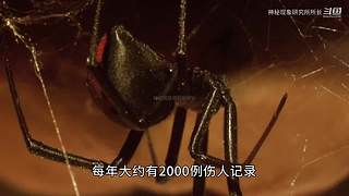 神秘现象研究调查报告！
