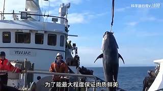 带你科学旅行~