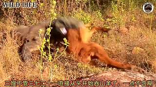 带你了解你不知道知识