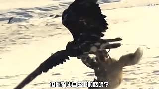 王生怪谈奇闻怪事