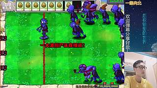 β版植物大战僵尸