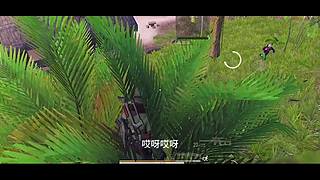 南柯又白给了的直播间