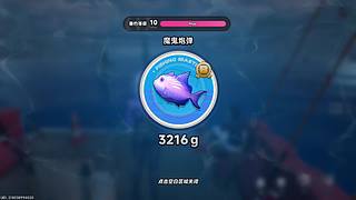纪念册纪念