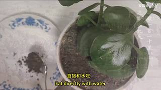 喜欢我的视频或想和我玩，请关注，打赏我哟