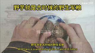 喜欢我的视频或想和我玩，请关注，打赏我哟