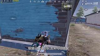 月殿玉兔直播间