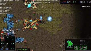 星际争霸菜鸟培训基地