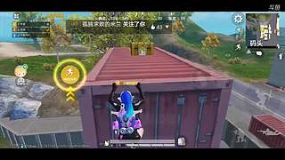 和平精英狗分 11394682