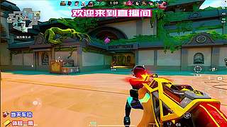 单排稳定上分，拒绝队友内耗