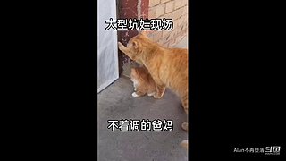星球大战前线2玩玩看。