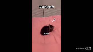 星球大战前线2玩玩看。