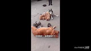 星球大战前线2玩玩看。