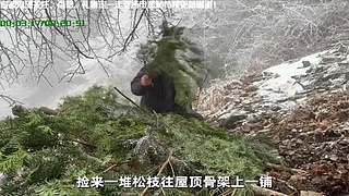 线上狄仁杰