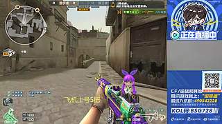 CFPLS28,白鲨重新启航！