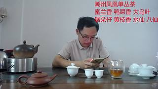 潮州凤凰单丛茶