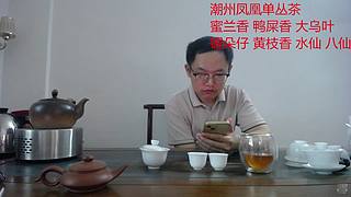 潮州凤凰单丛茶
