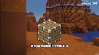 我的世界生存实况解说