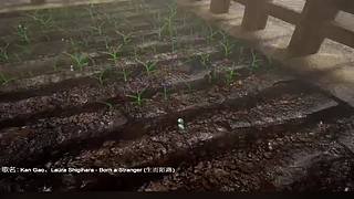 失眠症福音~~~~~~~~~~~