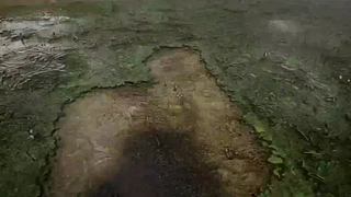 失眠症福音~~~~~~~~~~~
