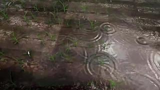 失眠症福音~~~~~~~~~~~