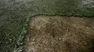 失眠症福音~~~~~~~~~~~