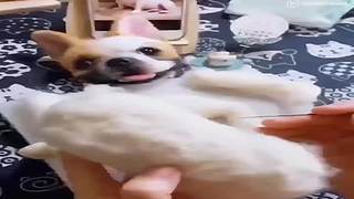 【亚巴拉辛巴】搞笑+游戏