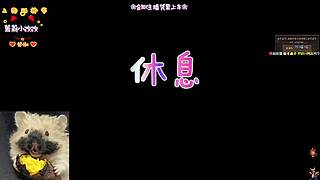 拌饭总比困难多~~